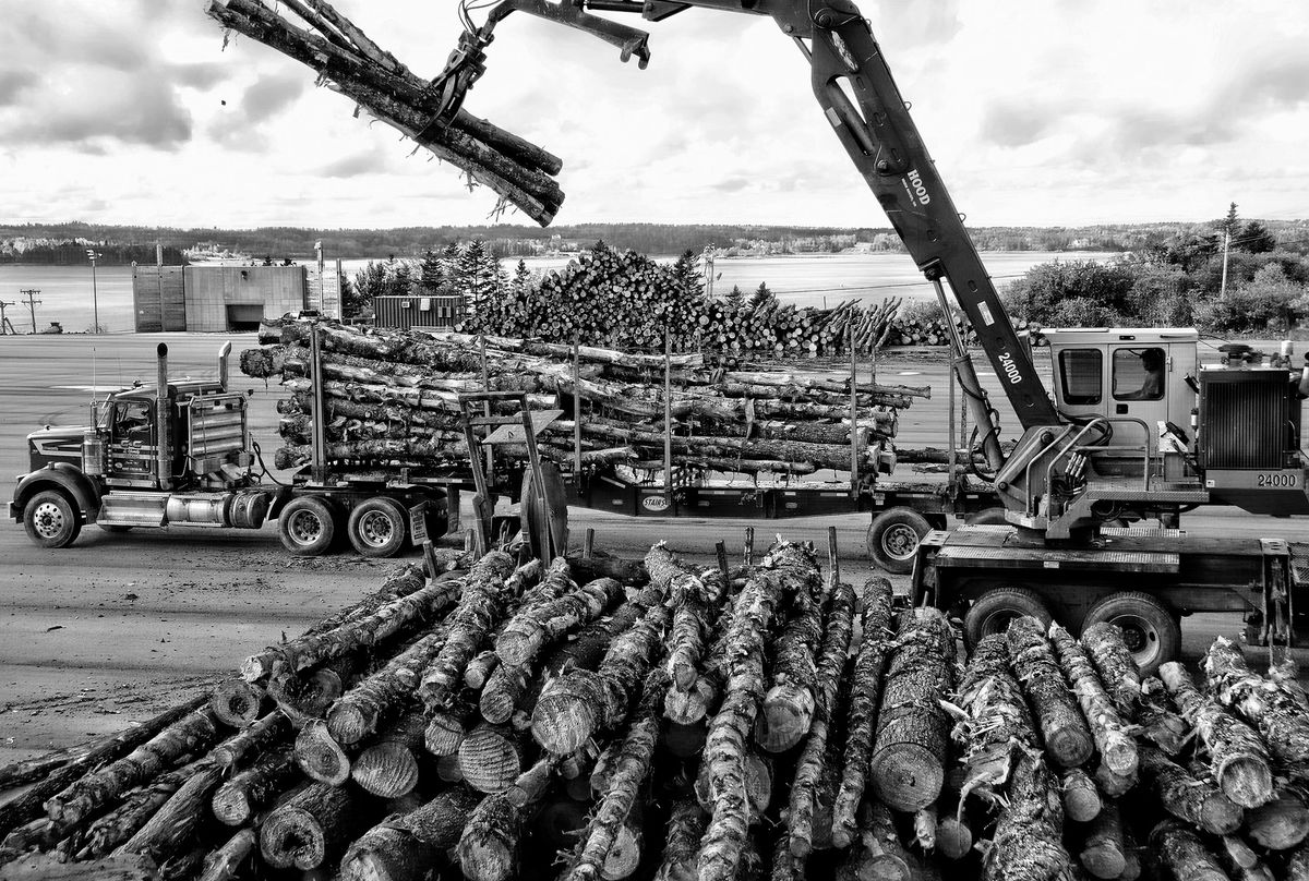 THE UNLOADING OF LOGS