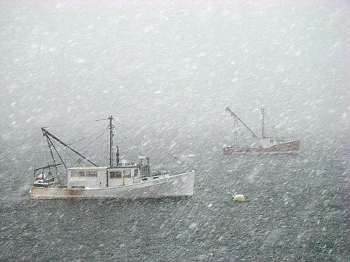 MARCH CAME IN LIKE A LION, and weathering another winter storm on Johnson's Bay in Lubec is the scallop dragger Dorothy Mitchell. (Chessie Johnson photo, copyright 2008)