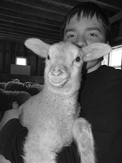 SPRING IS (POSSIBLY) HERE AT LAST! Jude Zanoni holds newborn lamb Coolata at the Old Sow Farm in Trescott. (Chessie Crowe-Gartmayer photo) Subscribe to Quoddy Tides Rates:$31.65 a year in Wa