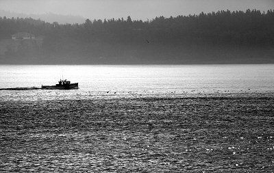 Morning light
