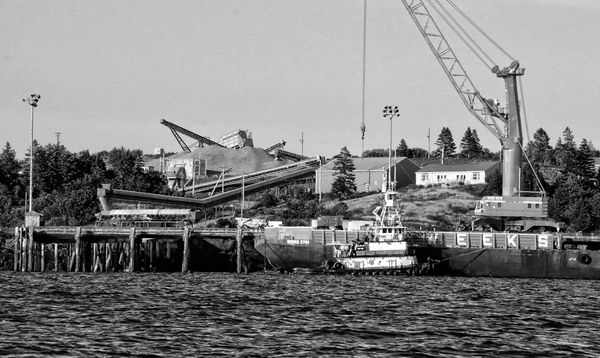 A MOBILE HARBOR CRANE arrived by barge at the Estes Head port terminal in Eastport on July 25, and within a couple of days the port authority had received four inquiries about new shipments,