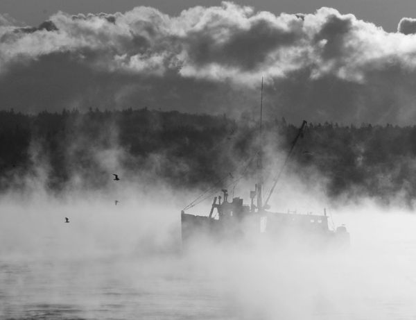 ENGULFED IN SEA SMOKE, a scallop dragger works on the morning of January 17 off Eastport. (Don Dunbar photo)