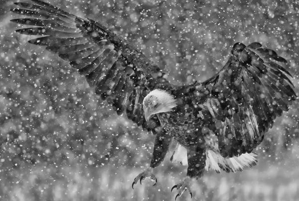 Image from index2-13-09.html