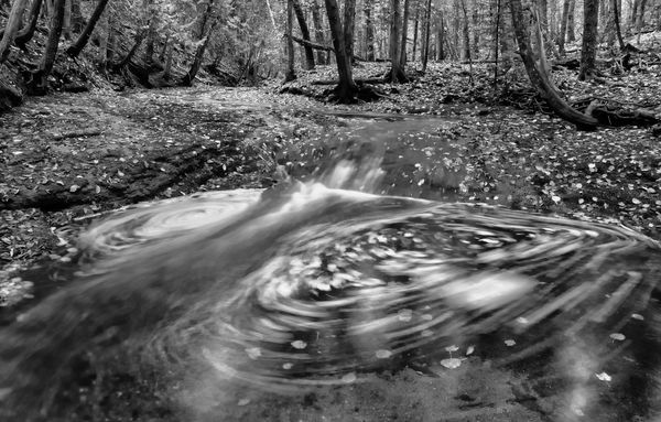 FALLEN LEAVES swirl around in a pool in a stream in Robbinston on October 17. (Don Dunbar photo)