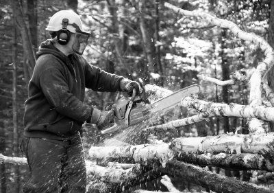 TOM POTTLE cuts wood on a 90-acre parcel he owns off the South Meadow Road in Perry. He sells to Woodland Pulp and Verso Paper, along with supplying his own business, Pembroke Lumber. Every 
