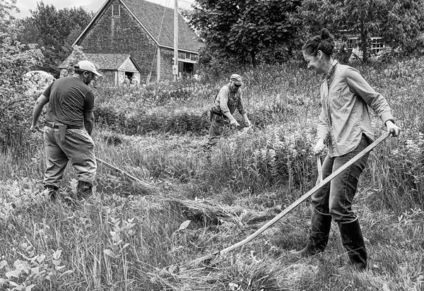 THE SWEEP OF SPRING COMES DOWNEAST