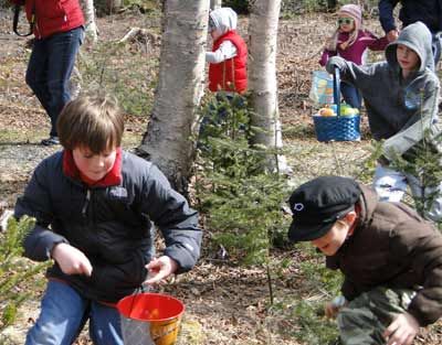 THE EASTER BUNNY VISITED Herring Cove Provincial Park early this year, hiding nearly 1,500 eggs for the eager youngsters to discover. The Campobello Canada Day Committee sponsored the April 