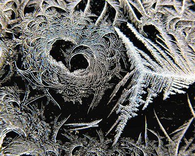 COVERING a chilly morning window is a winter frost garden. (Chessie Crowe Gartmayer photo)