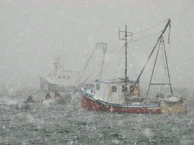 THE SPIRIT OF THE SEA. It's all in a day's work for local fishermen on Johnson's Bay off Lubec.(Chessie Crowe Gartmayer photo)