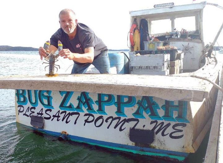 ERIC FRANCIS holds up the blue lobster he caught aboard the Bug Zappah.
