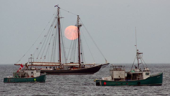 A PINK FULL MOON rises as a perfect backdrop to the Bluenose II in North Head harbour, Grand Manan, on August 2. The iconic Canadian schooner has been on a sail-past tour of New Brunswick an