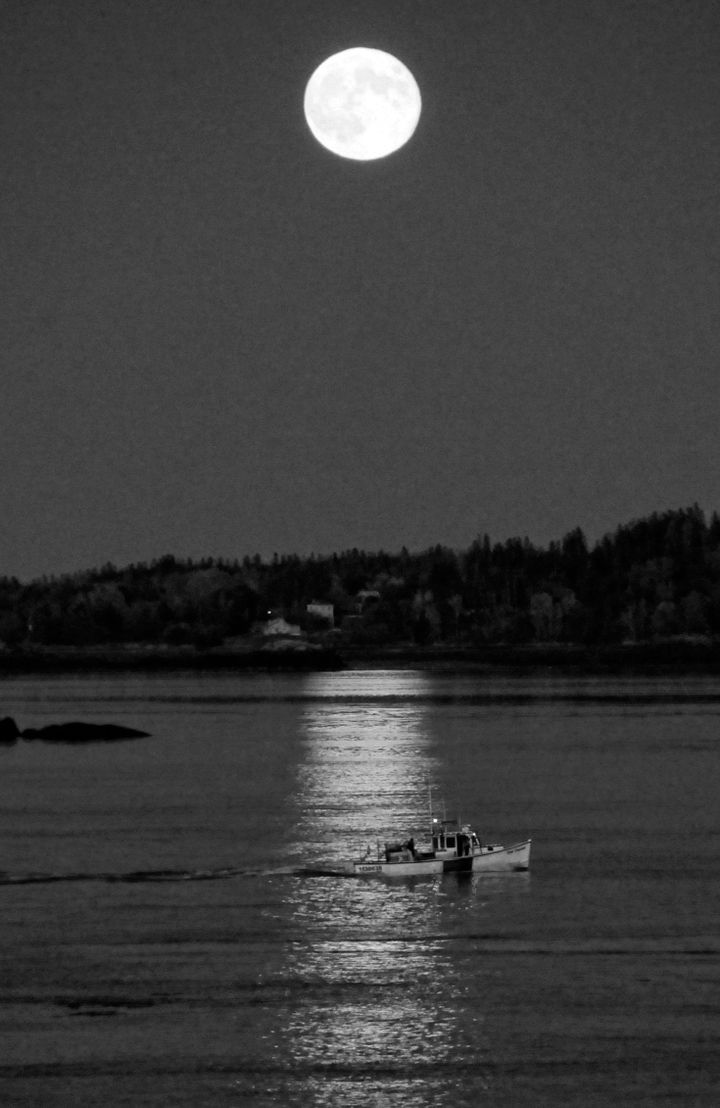 HOMEWARD BOUND past Cherry Island, by the light of a full hunter's moon after a day of fishing, is the Tide Chaser, a lobster boat owned by Elijah Brice of Eastport. (Edward French photo)