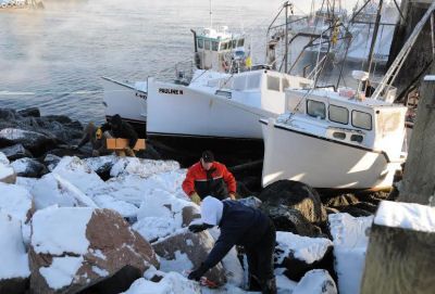FOUR BOATS that were berthed at the Eastport Fish Pier broke free when lines parted during high winds early in the morning of January 8. Draggers owned by Scott Emery, Stanley MacNichol and 