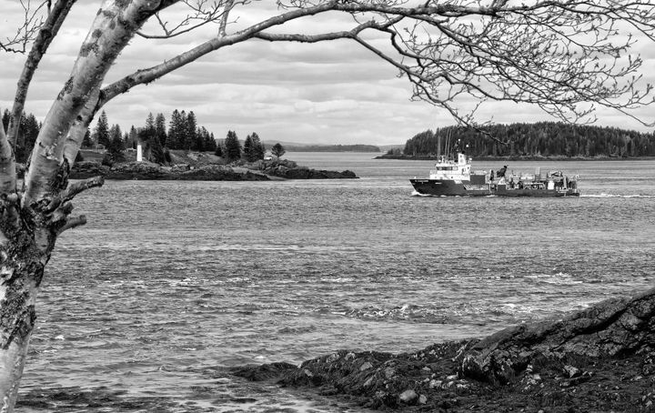 HEADING UP WESTERN PASSAGE by Deer Island Point is the KC Commander, one of Cooke Aquaculture's wellboats used for sea lice treatments at its salmon farms. (Edward French photo)