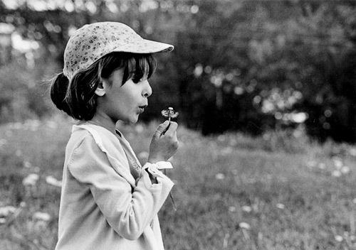 BLOWING AWAY dandelion seed, on a spring afternoon with rain and sunshine, is six-year-old Mary Bartlett of Eastport. (Edward French photo) Meeting minutes, lawyer fees spark Perry selectmen