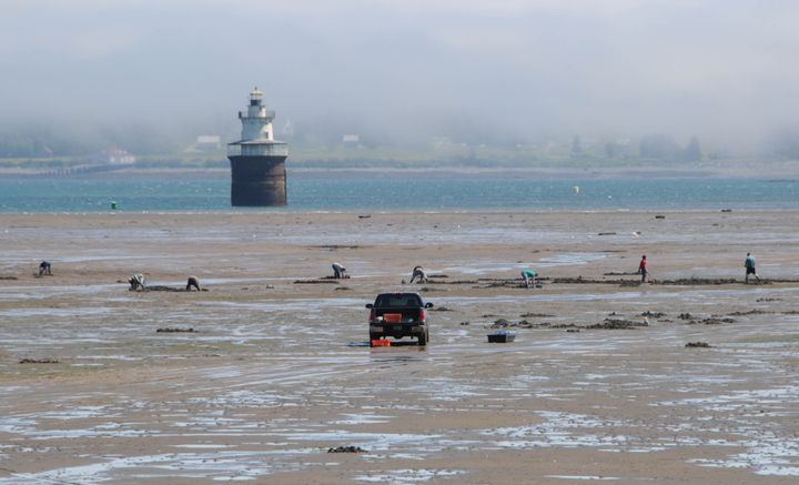 WORKING THE FLATS were a large number of clamdiggers near the Sparkplug lighthouse in the Lubec Channel on July 2, as a fog bank rolls in over West Quoddy Head. The Mowry Beach flats opened 