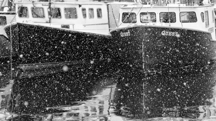 SCALLOP DRAGGERS rest at the Eastport breakwater as the snow falls in early March, following the closure of Cobscook Bay and then the St. Croix River to scallop dragging. (Edward French phot