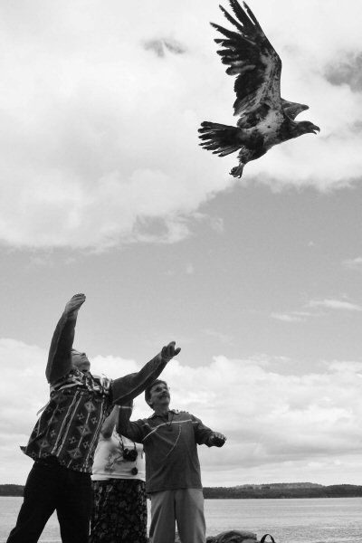 RELEASING an immature male bald eagle at Split Rock, Pleasant Point, on May 11 is Rep. David Slagger of the Houlton Band of Maliseets as Passamaquoddy Chief Clayton Cleaves looks on. The thr