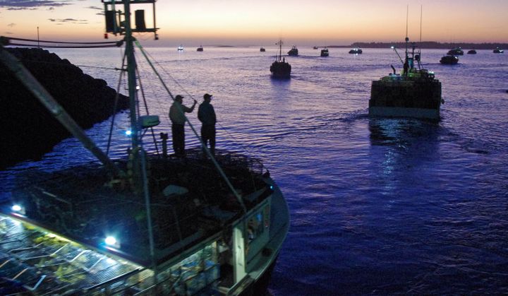 ON THEIR WAY OUT to set traps on November 11 after a three-day delay in the opening of this year's season are these lobster boats in Seal Cove, Grand Manan. See this issue for an article on 