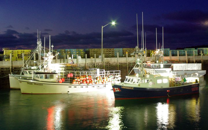 DEPARTING for the opening of Grand Manan's lobster season on Monday, November 13, are these boats in Seal Cove. (Arlene Benham photo)