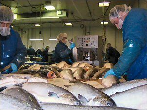 Image from index1-23-09.html