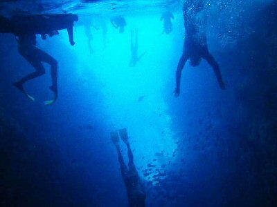 SNORKELING in New Zealand is Elizabeth Hull, daughter of Travis and Kathy Hull of Cooper, along with other divers. She is participating in an Eco Quest Education program.