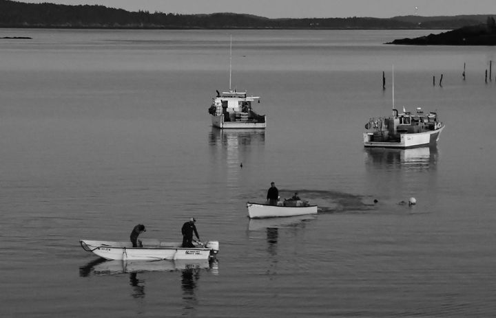LOBSTERMEN return to the dock at Gleason's Cove in Perry after a day of pulling traps on September 20. (Don Dunbar photo)