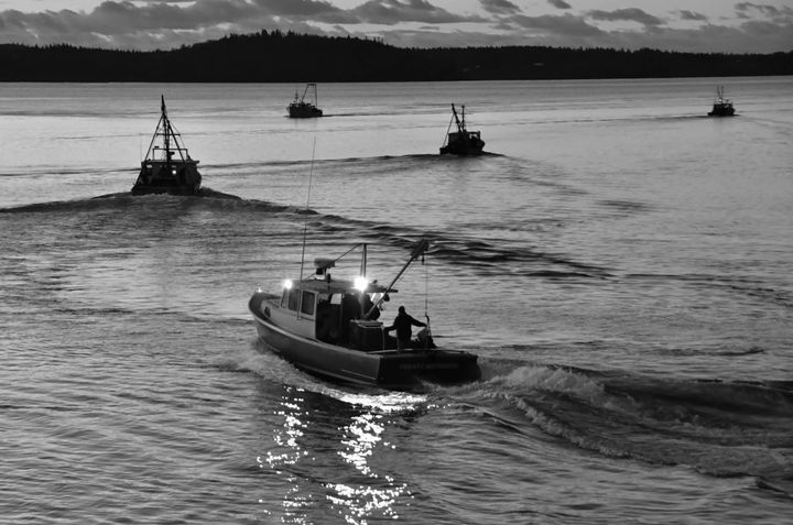 DRAGGERS head out from the Eastport breakwater on the first day of the scallop season, December 2. (Don Dunbar photo)