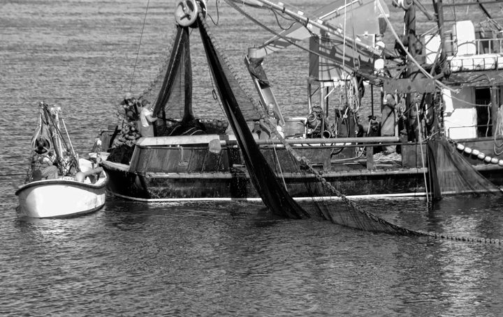 PURSE SEINING for mackerel off the Eastport breakwater on October 2 is the crew of the Jenny Rose, owned by Earl Small. (Edward French photo)