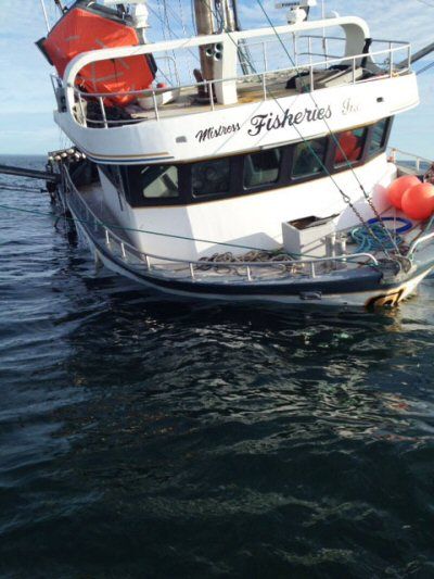 SLIDING BENEATH the waves on June 2 after hitting Bull Rock is the purse seiner Moon Raker I. (Wayne Green photo)