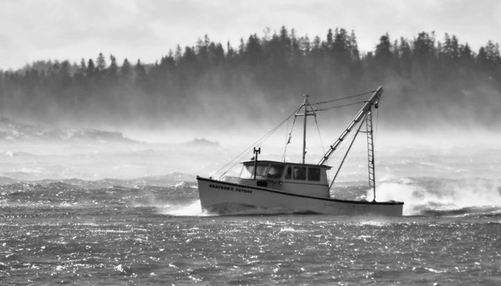 RETURNING to the Eastport breakwater from diving for scallops on a cold day on February 3 is Scott MacNichol of Perry aboard his boat Brayden's Future. The wind chill in Eastport on February