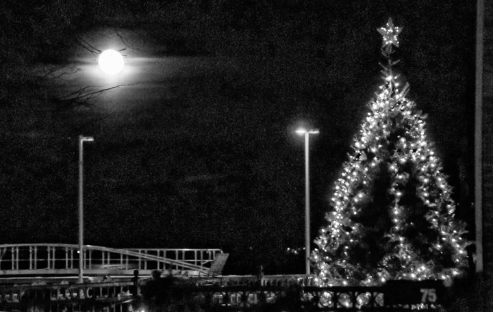 ON THE LONGEST NIGHT OF THE YEAR, lights shine in the darkness, as a full moon rises over Campobello and a star shimmers on the Christmas tree outside Horn Run Brewing, overlooking the break