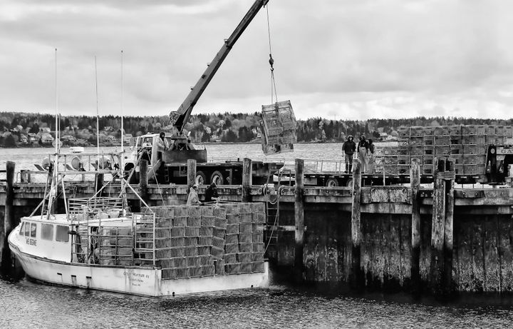 THE CREW of the Ocean Warrior unloads lobster traps at the Eastport fish pier on November 19, as the season winds down in Maine. (Don Dunbar photo)