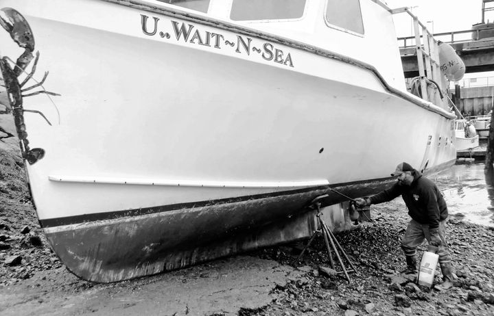 CLEANING OFF the bottom of his lobster boat, U. Wait-N-Sea, is Jesse McPhail at the inner basin of the Eastport breakwater. While catches have been down some this season, the price has been 