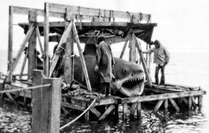 ONE OF THE 25-FOOT MECHANICAL SHARKS