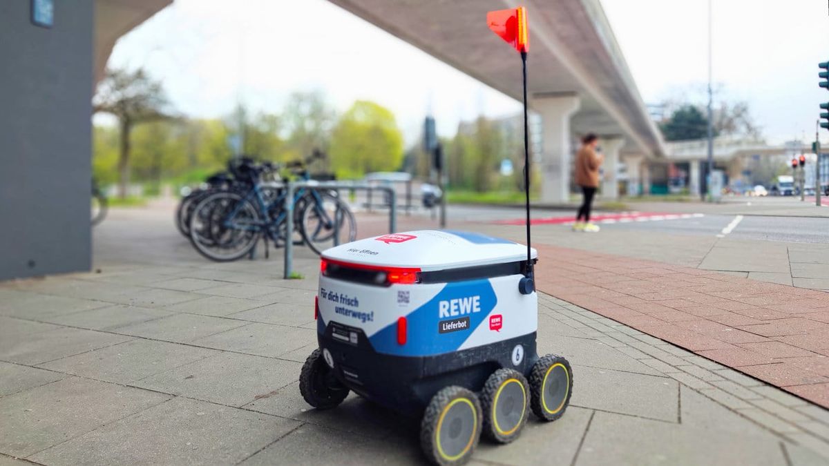 Baguette vs. Bot: Was bei Rewes Lieferbot-Pilot in Hamburg schiefläuft