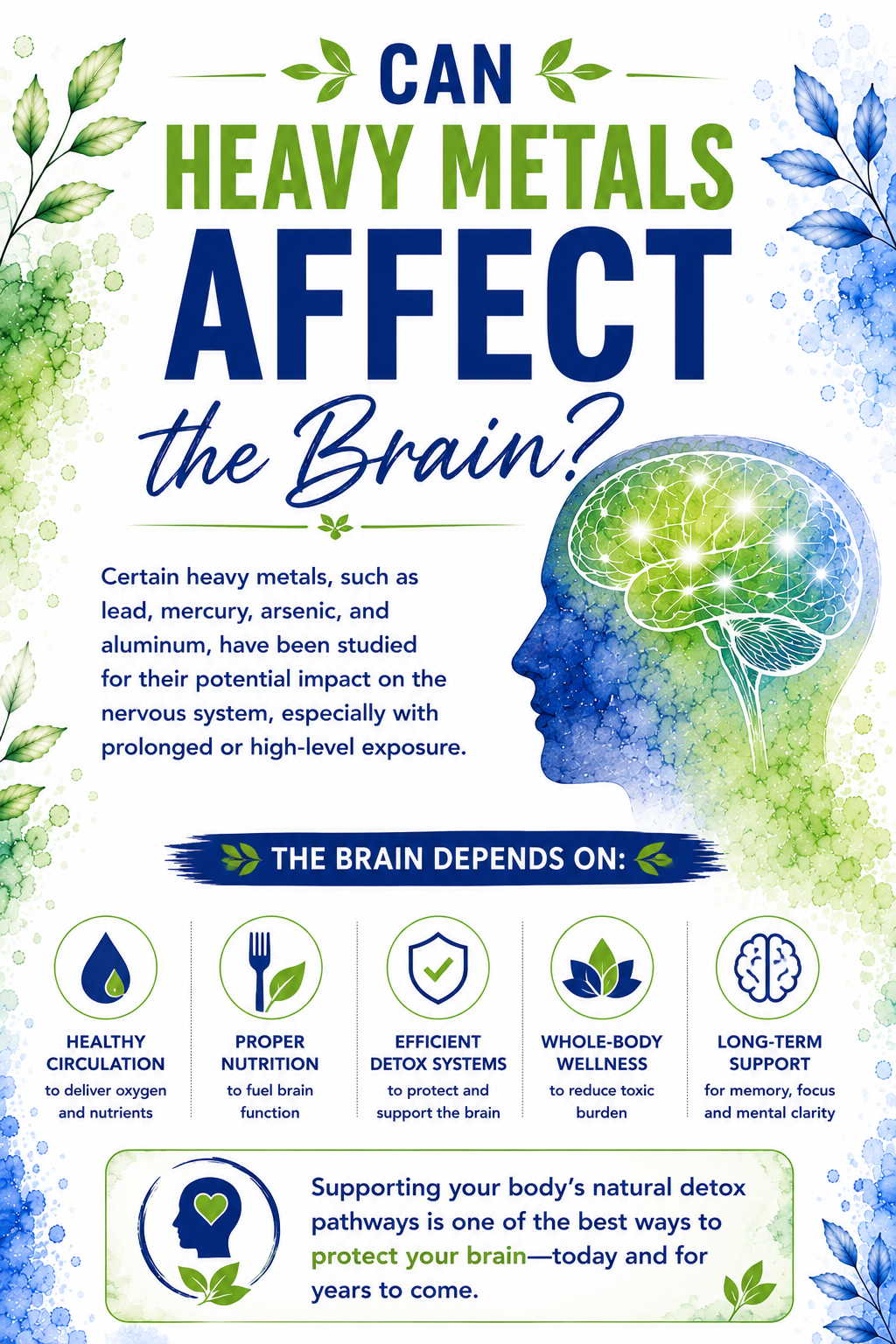 How to detox heavy metals from the brain infographic featuring six natural steps to support brain health, including reducing toxin exposure, supporting detox pathways, nourishing the brain with whole foods, binding heavy metals with zeolite, replenishing minerals, and promoting healthy circulation.