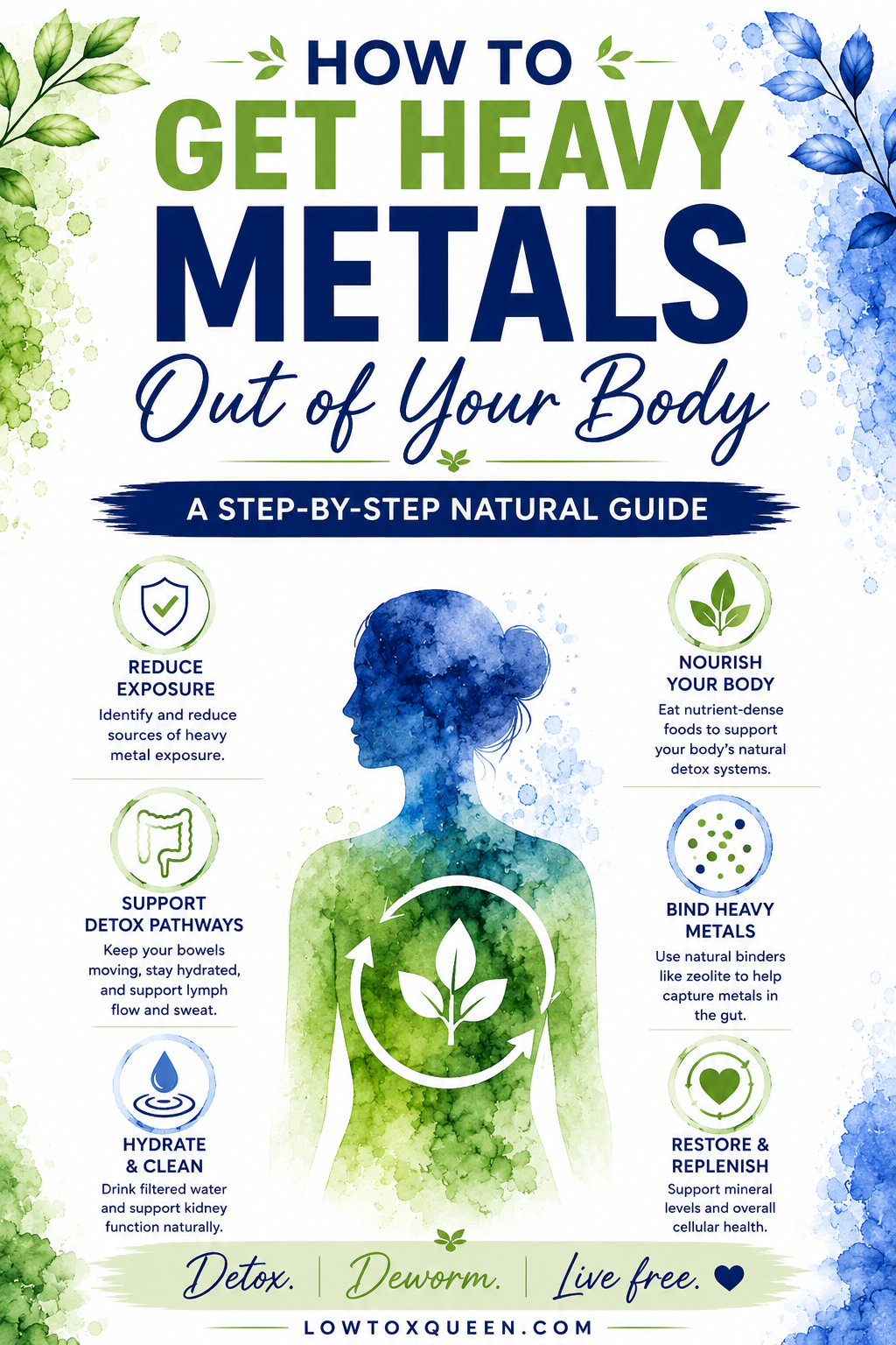 How to Get Heavy Metals Out of Your Body infographic showing natural steps to reduce heavy metal exposure, support detox pathways, hydrate, nourish the body, bind heavy metals, and support healthy mineral levels.