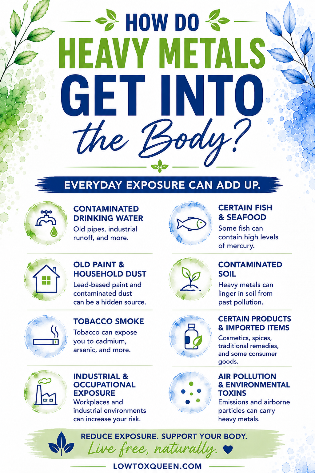 How to Heavy Metals Get Into The Body?
