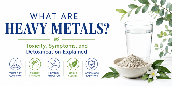 What are Heavy Metals?