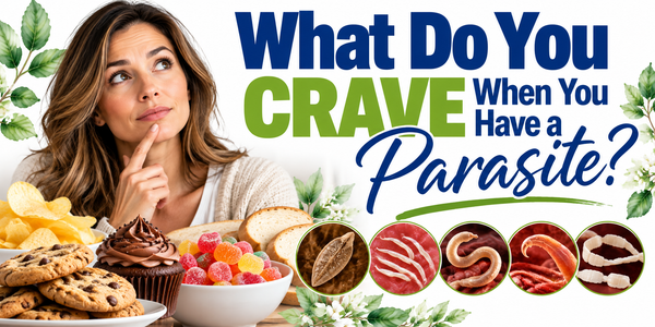 What do you crave when you have a parasite? Illustration of a woman surrounded by sugary foods, carbohydrates, and five common intestinal parasites.