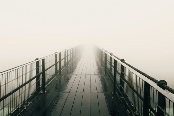 What Is an AI Visibility Score?