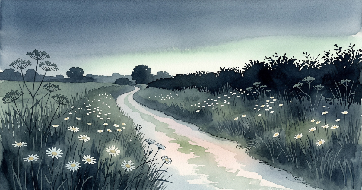 A chalk lane curving between flowering June verges at dusk, ox-eye daisies pale in the half-light, a dark hedge line standing against a green-white band of afterglow in the northern sky.