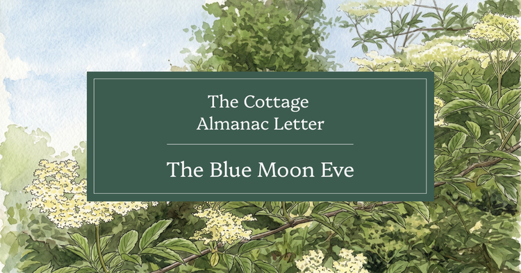 The Blue Moon Eve