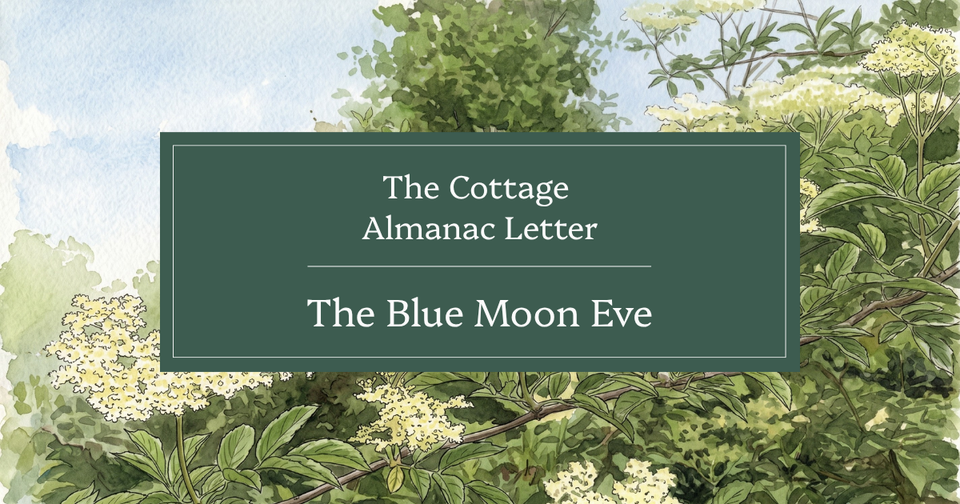 The Blue Moon Eve