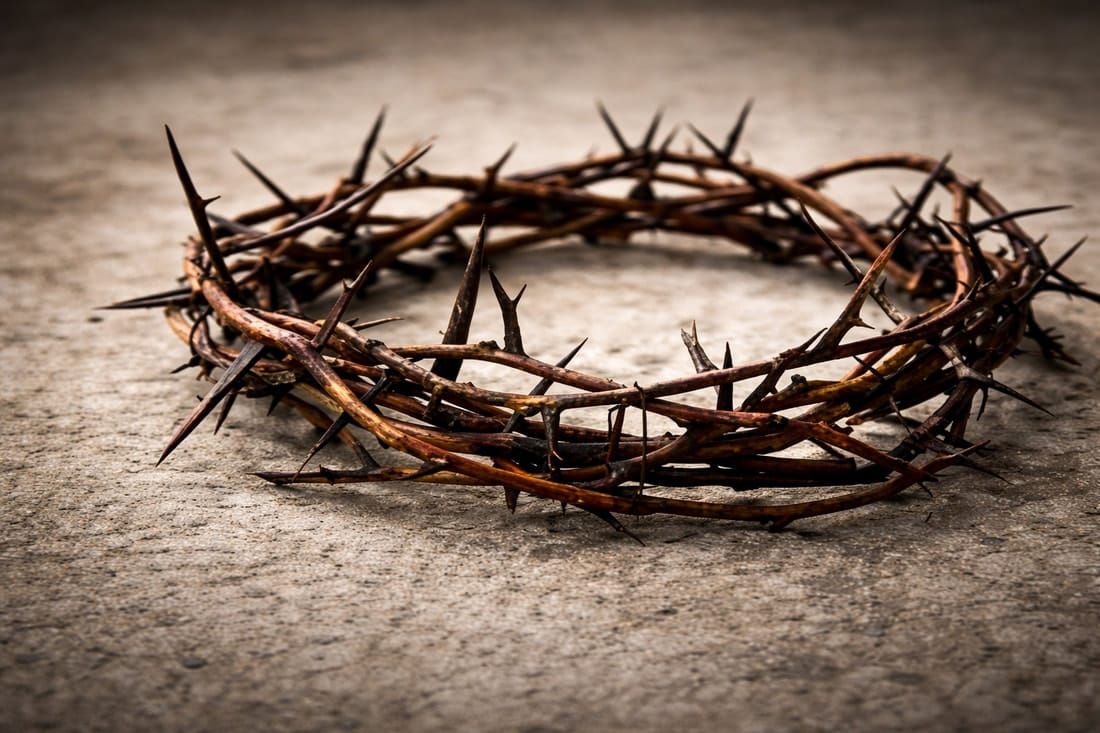 The Crown of Thorns