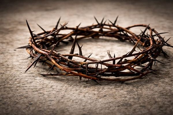 The Crown of Thorns