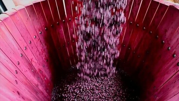 "The Winepress" - Rev. 19:15