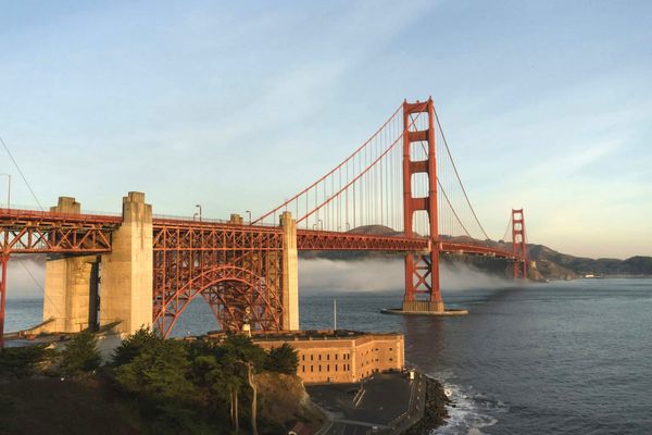 What To Do in San Francisco: A Local’s Guide