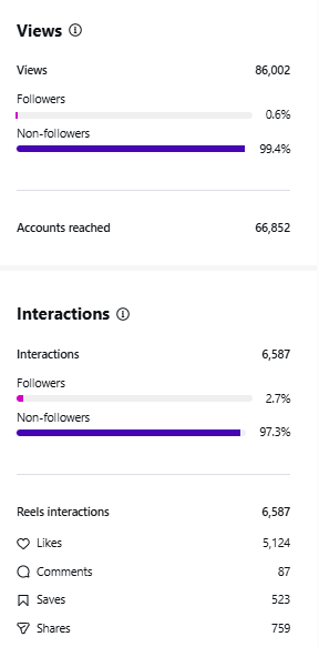 Nearly 210,000 People Have Watched My Videos. It Makes No Damn Sense.